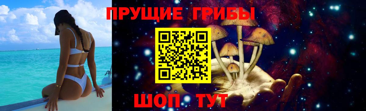 Псилоцибиновые грибы Psilocybe Ейск